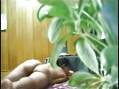 മമ്മി അവന്റെ കടുപ്പമുള്ള പെക്കർ കുടിക്കുന്നു