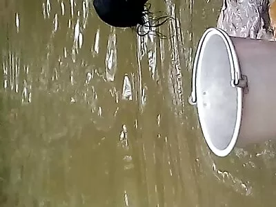 മെർലിനും ഓപലും